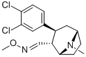 CAS 171655-91-7 molecular structure