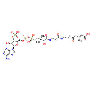 CAS 9024-24-2 structure