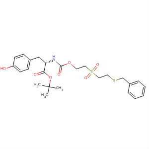 CAS 918822-91-0 structure