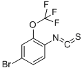CAS 238742-91-1 molecular structure